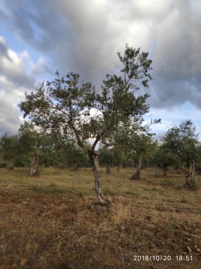 Apartamento Turistico Sinuhe Daire Gata Dış mekan fotoğraf